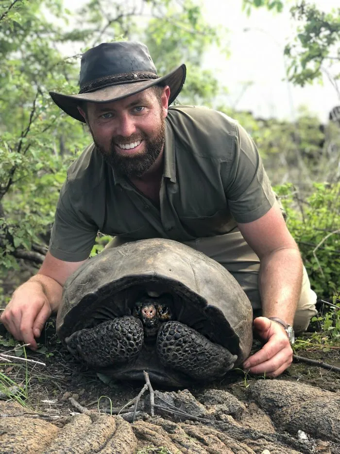 Fernandina Tortoise, Are Extinct Since 1906, Discovered In An Expedition. She Was Hiding In The Brush Of A Volcano, And Identified By The Look Of Her Shell And Face