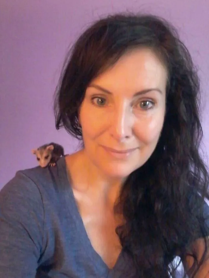 I See Your Shoulder Cats, Is It Too Late For A Shoulder Baby Opossum?