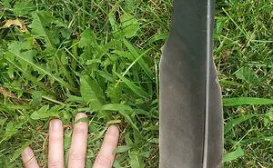 50 Times People Found Such Unexpected Things, They Just Had To Share The Pics Online (New Pics)