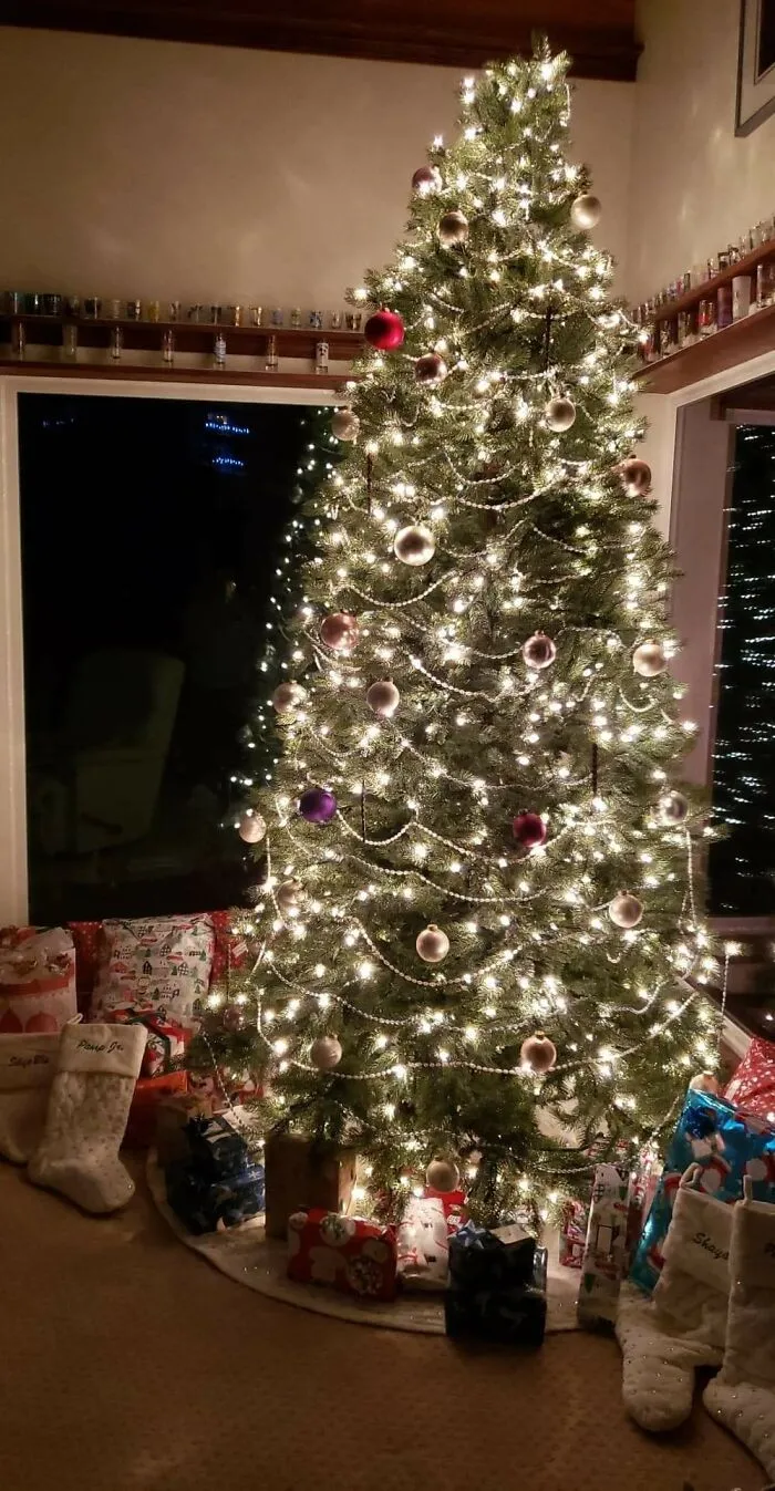 My First Time Decorating The Tree By Myself. I Wanted To Make It Special This Year, Because My Mom Passed Away Suddenly In October. So, This Is In Memory Of Her