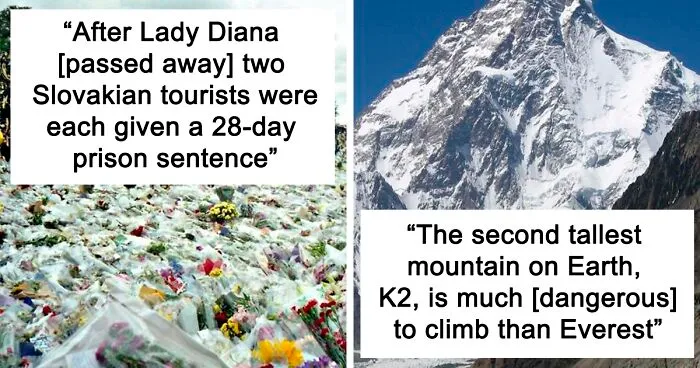 35 ‘Today I Learned’ Facts That Show It’s Never Too Late To Learn (New Pics)