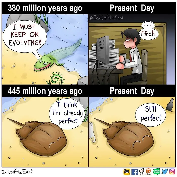I Love How The Horseshoe Crab Refuses To Evolve