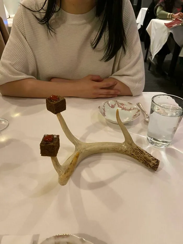Cubos de venado en una cornamenta de ciervo (fue realmente increíble)