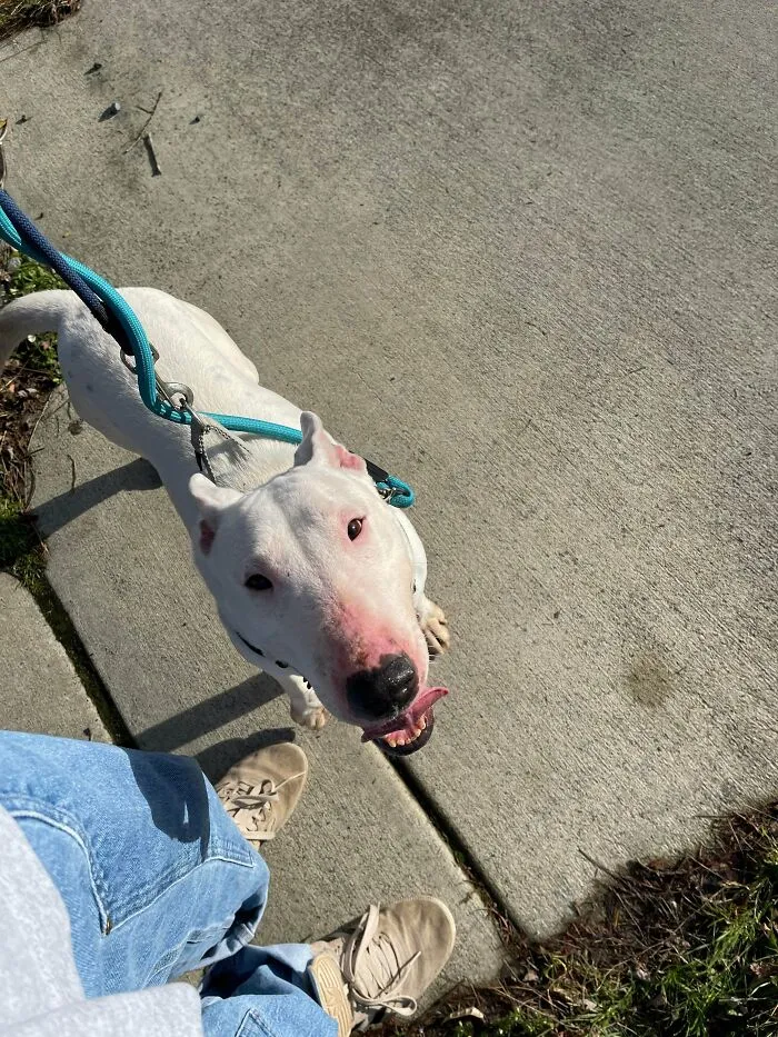 Don’t Have Many People To Tell, But I Just Got Approved To Adopt This Pretty Lady!!!