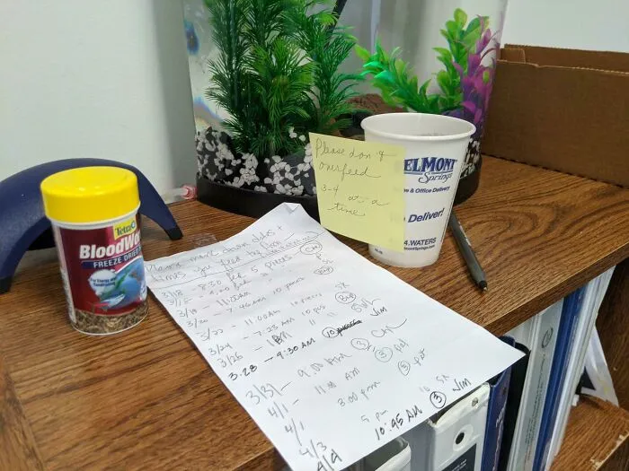 Mi oficina ha estado trabajando desde casa durante semanas. He enviado un correo electrónico pidiendo a cualquiera que tenga que pasar por la oficina que alimente a mis peces