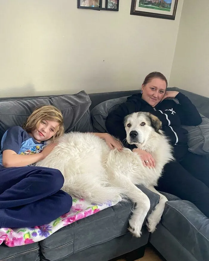 Adopted This Giant Fluff From A Friend Of A Friend