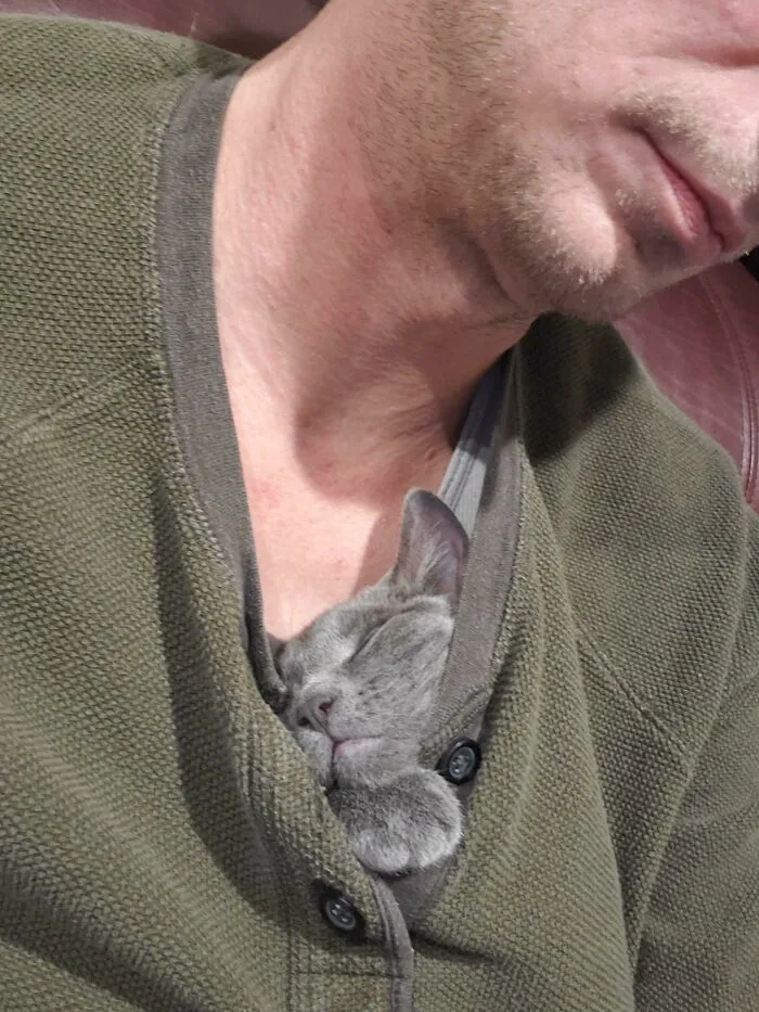 Shirt Warmer. He's Just Sooo Happy To Be Adopted Still! 
