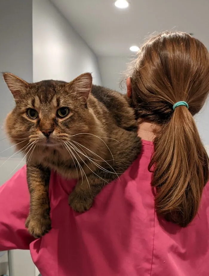 My Shelter Buddy Is Being Adopted. Wish Him Good Luck!