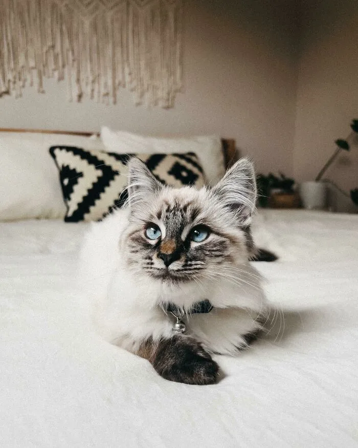 Just Adopted This Sweet Boy. What Do We Name Him?