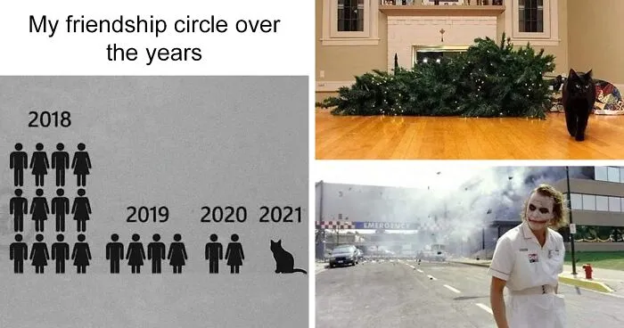 50 Of The Most Spot On "Memes I Wish I Could Tag My Cat In"