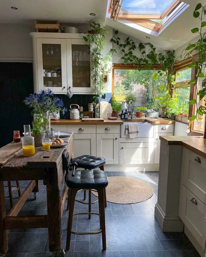 Sunny, Warm And Plant Filled Kitchen Full Of Life In A Small Town Morpeth, North East England
