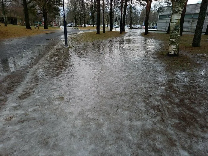 This Is What Finnish Winter Looks Like When It Wants To Hurt People