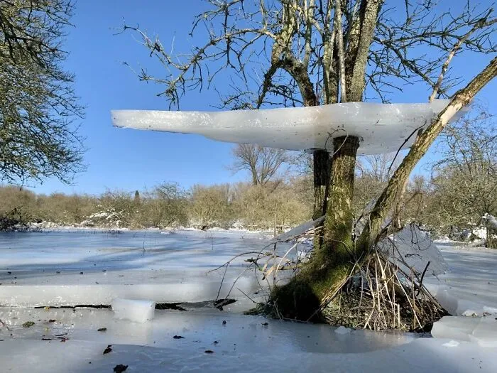 Esta plataforma de hielo flotante después de que baje el nivel del agua