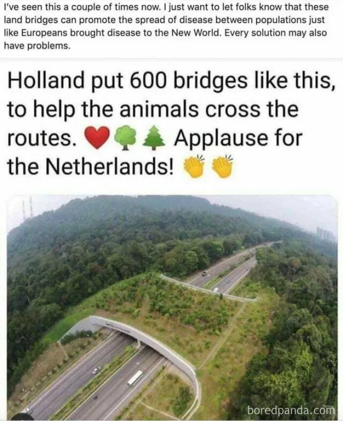 I Have No Words