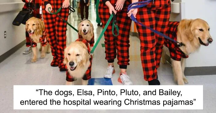 These Dogs Brought A Lot Of Joy To Ill Children That Had To Spend Christmas In A Hospital