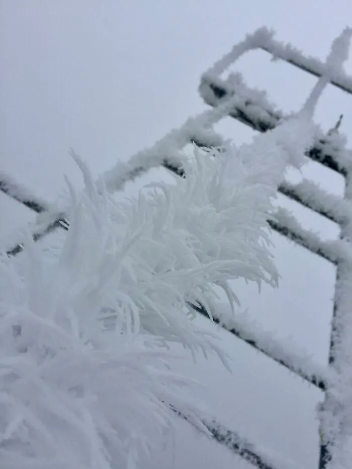 Freezing Fog (Hoar Frost) On Top Of A Wind Turbine