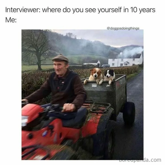 50 Hilariously Accurate Memes That Sum Up Millennial Struggles At Work