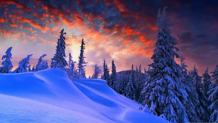 The Snowy Winter Of My Dreams