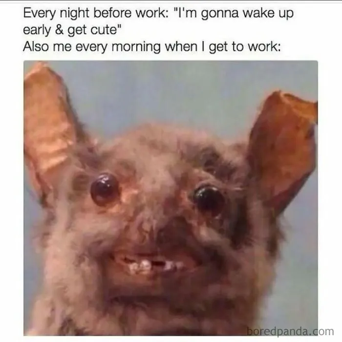 50 Hilariously Accurate Memes That Sum Up Millennial Struggles At Work