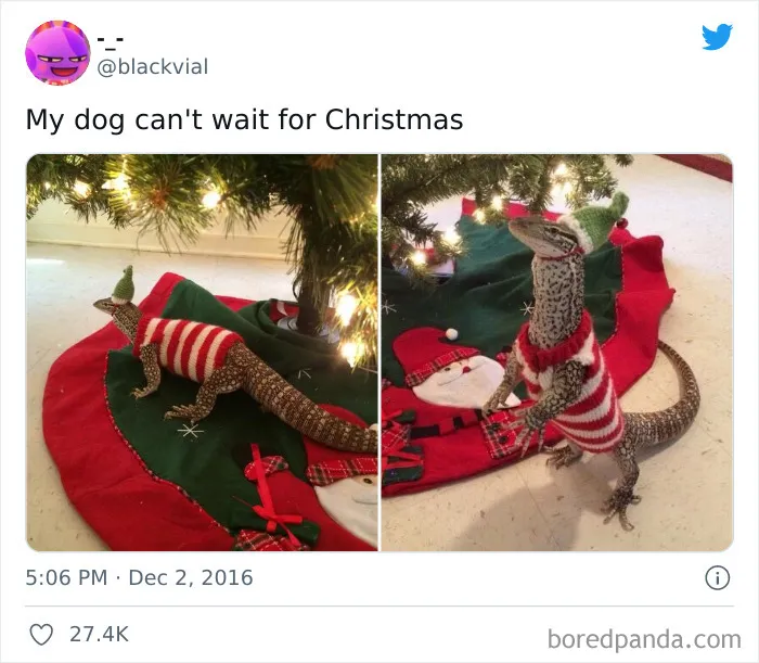 My Dog Can't Wait For Christmas