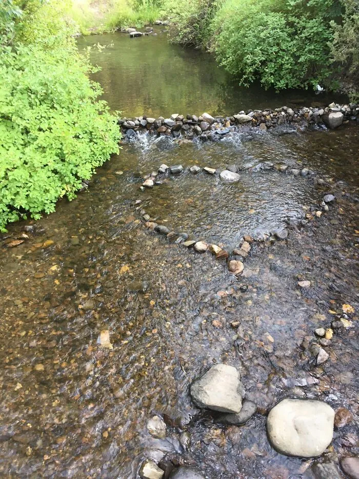 A Campsite In Idaho