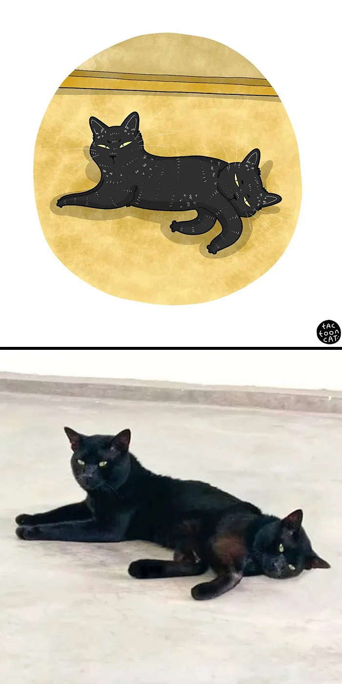 30 Of The Funniest Internet-Famous Cat Pics Get Illustrated By Tactooncat (New Pics)