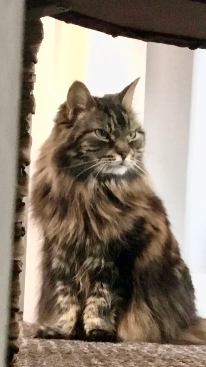 This Is The Face I Get Every Time I Get Ready To Go Out!
