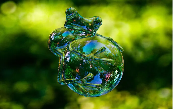 DesignCrowd Hosts A Frog Photoshop Contest, And Here Are 30 Of The Best Submissions