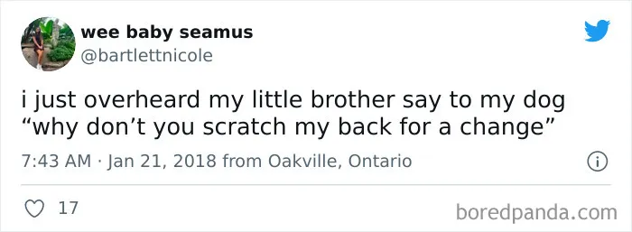35 Times People Overheard Conversations That Were Too Good To Keep Private, So They Shared Them On Twitter