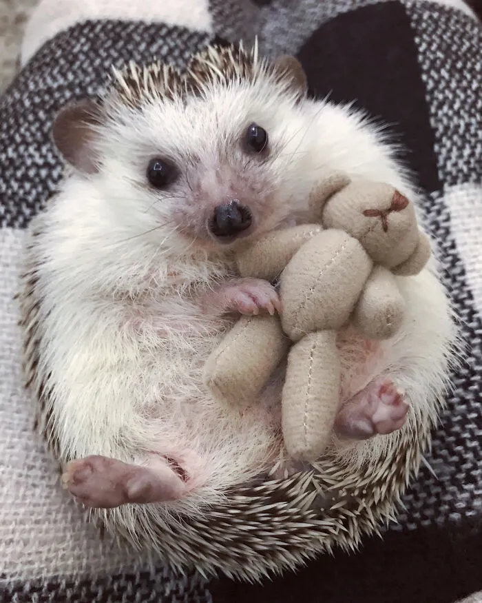 Cuddle Time