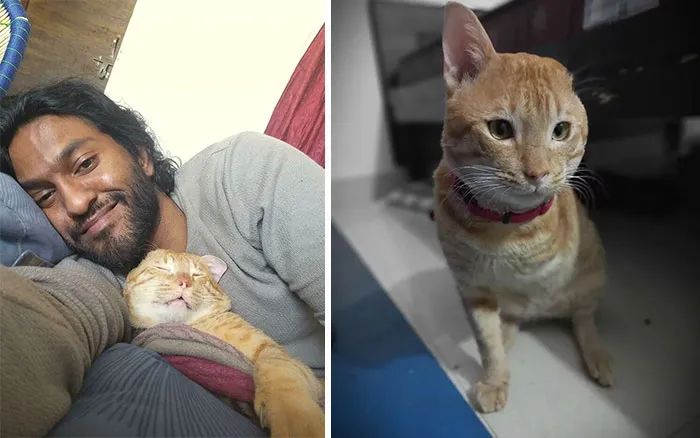 Me And Sleepy Boi. He Wouldn't Come Near Me When I Adopted Him! Now Every Night He Sneaks Into My Blankie And Sleeps With Me
