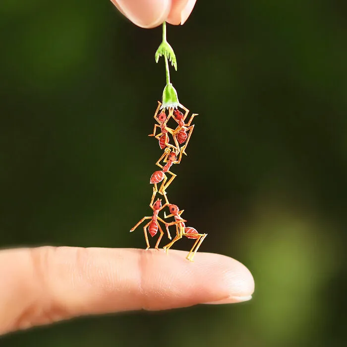Fire Ants