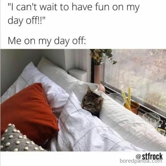 50 Hilariously Accurate Memes That Sum Up Millennial Struggles At Work