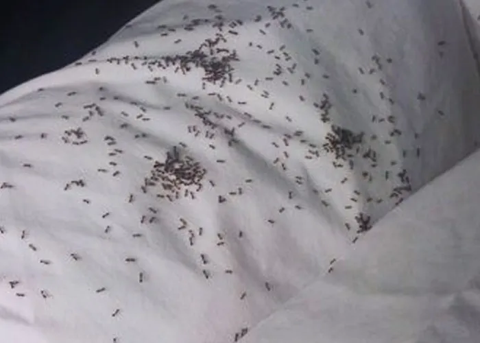 30 Unusual And Disturbing Things These People Saw At Someone Else's House