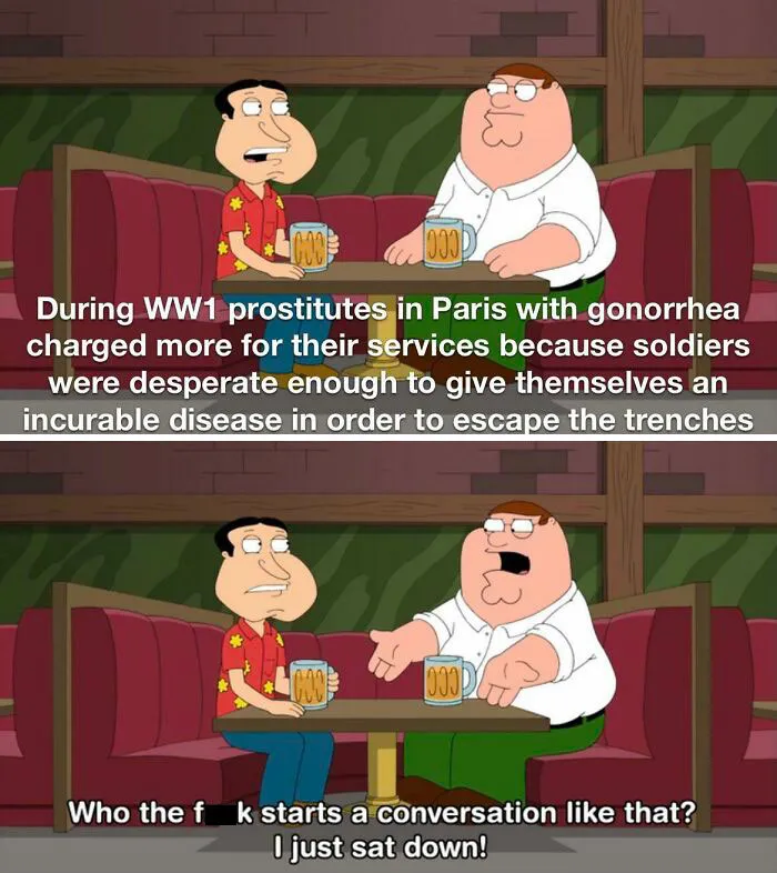Two animated characters from Family Guy share drinks while discussing a funny and accurate World War 1 history meme.