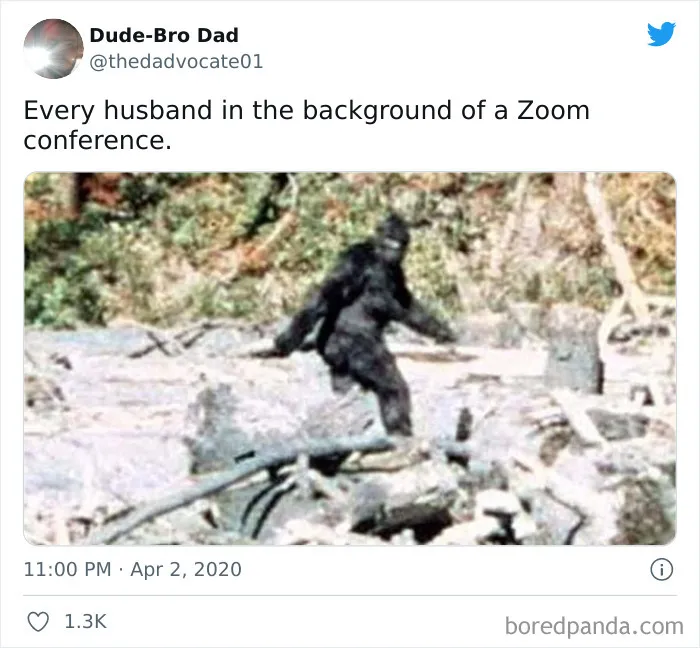 35 Hilarious Tweets That Show What People Learned About Their Partners While Working From Home