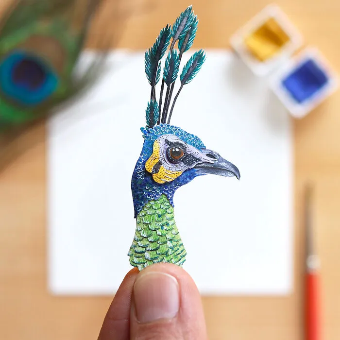 Green Peafowl