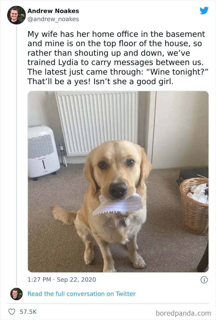 35 Hilarious Tweets That Show What People Learned About Their Partners While Working From Home