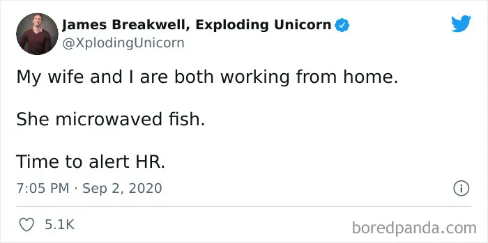 35 Hilarious Tweets That Show What People Learned About Their Partners While Working From Home