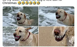 People Share 50 Gifts They Got That Made Them Laugh (New Pics)