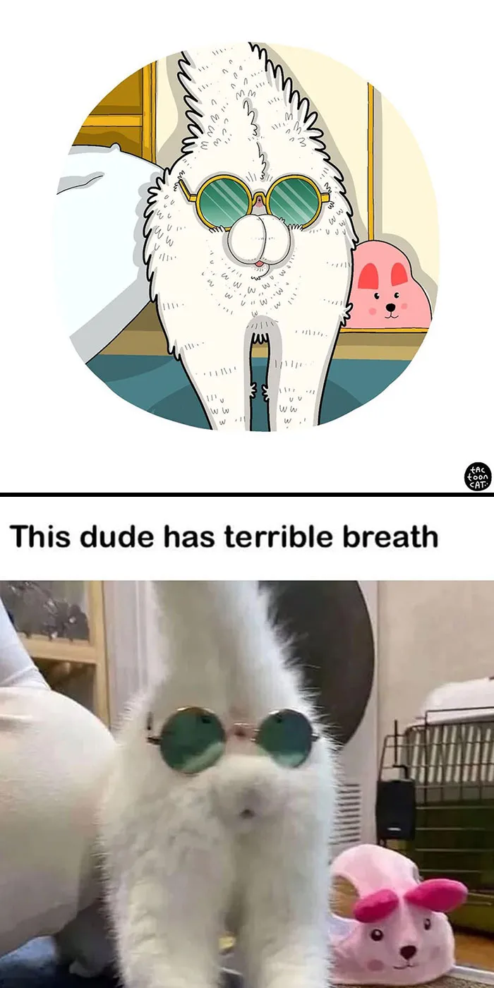 30 Of The Funniest Internet-Famous Cat Pics Get Illustrated By Tactooncat (New Pics)