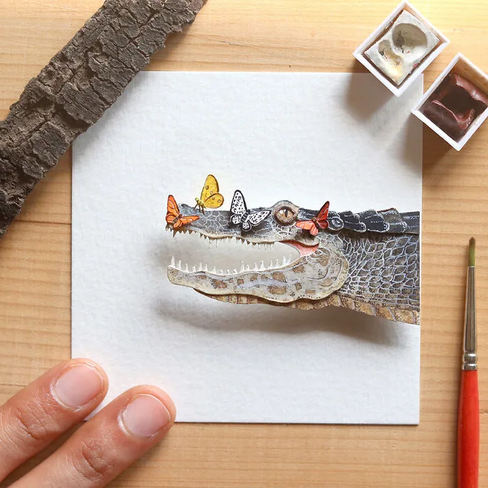 Spectacled Caiman