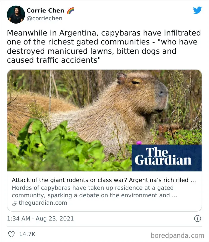 26 Weird Things That Happened In 2021 That Somehow Made The News