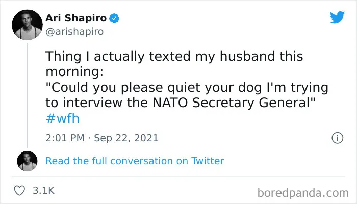 35 Hilarious Tweets That Show What People Learned About Their Partners While Working From Home
