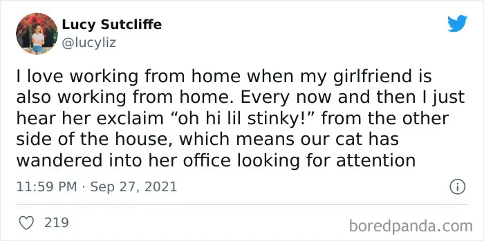 35 Hilarious Tweets That Show What People Learned About Their Partners While Working From Home
