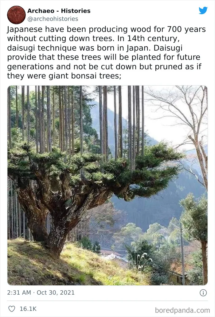 This Twitter Account Shares Interesting Historical Facts The World Should Not Forget (40 Pics)