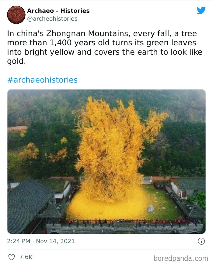 This Twitter Account Shares Interesting Historical Facts The World Should Not Forget (40 Pics)