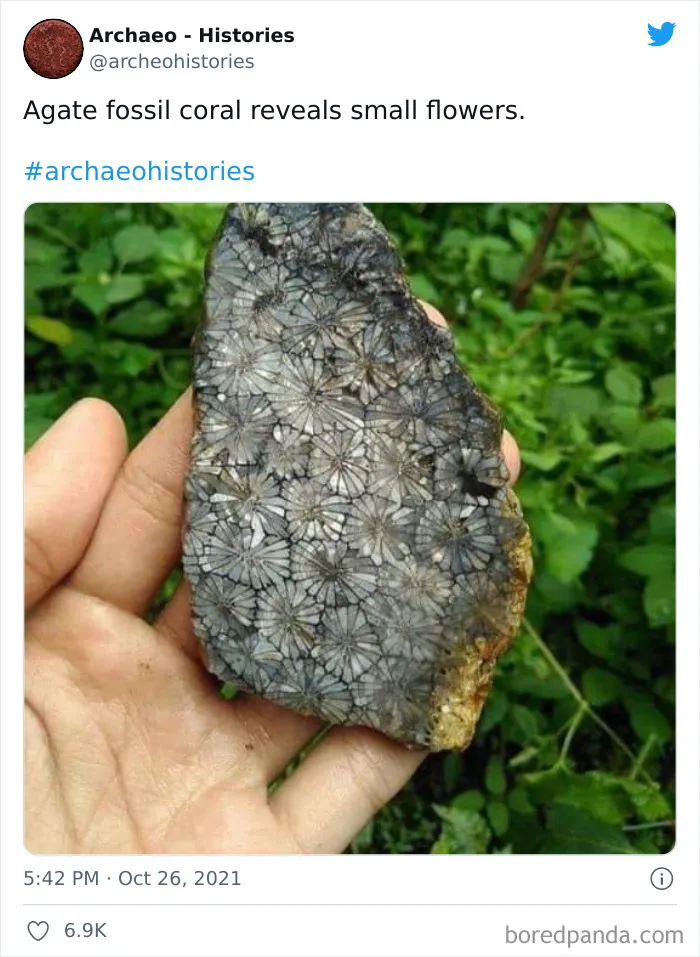 This Twitter Account Shares Interesting Historical Facts The World Should Not Forget (40 Pics)