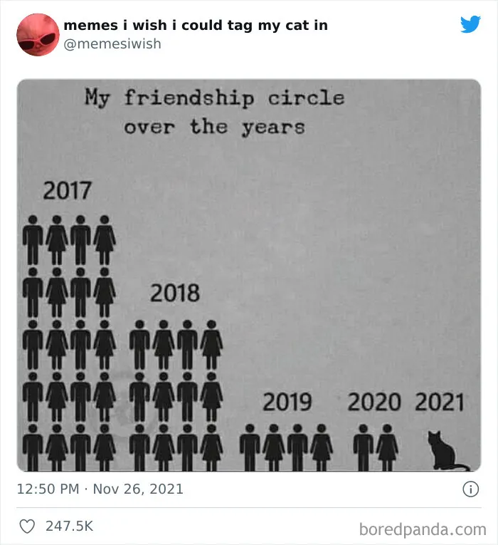 50 Of The Most Spot On "Memes I Wish I Could Tag My Cat In"