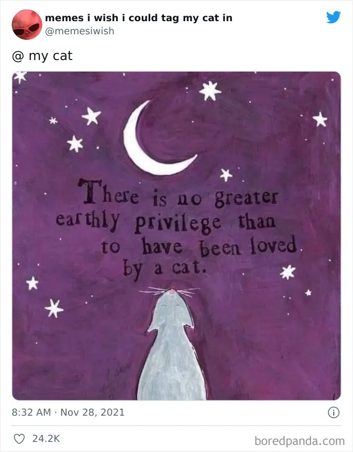 50 Of The Most Spot On "Memes I Wish I Could Tag My Cat In"